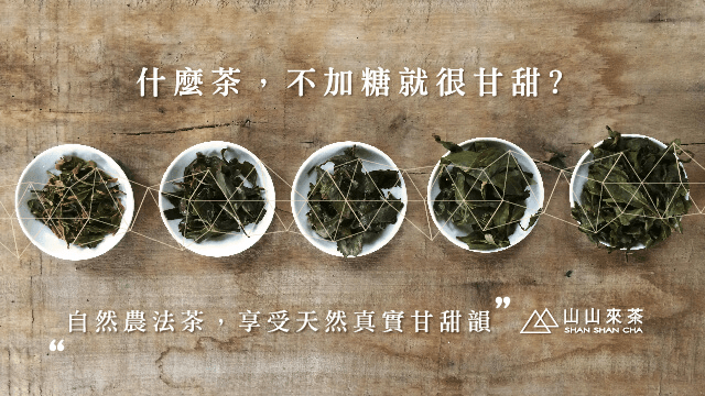 山山來茶
