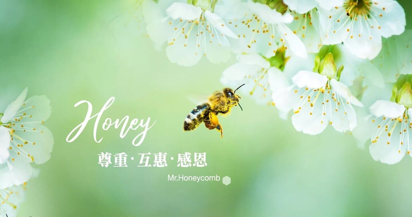 蜂巢氏